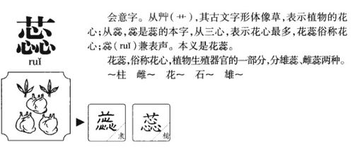 狸猫的梨怎么组词