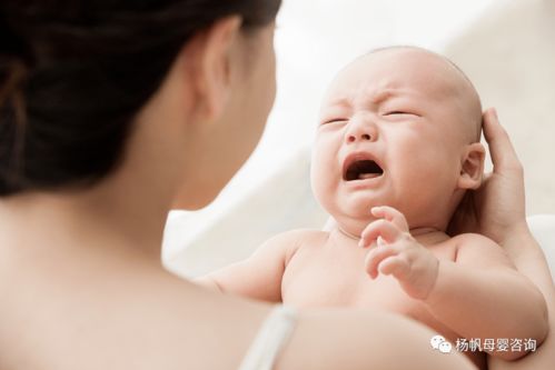 哭闹哭哭怎么组词