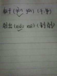 分的另个读音怎么组词