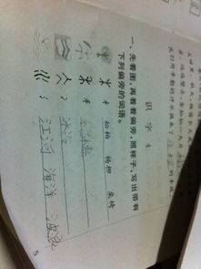 木字旁的交怎么组词呀