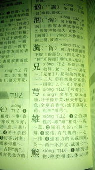 驯良怎么读组词