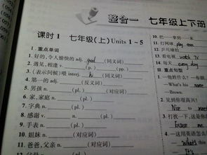 素的其他意思组词怎么写