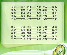 大致的致可以怎么组词 大致的致可以怎么组词