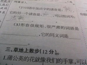 严的组词怎么