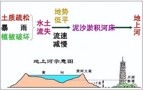 黄河海怎么组词 黄河海怎么组词
