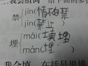 买怎么写埋怎么组词