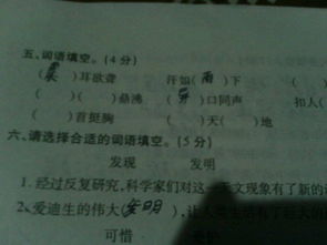 噼的部首和组词怎么写 噼的部首和组词怎么写