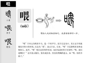 喂食的喂怎么组词