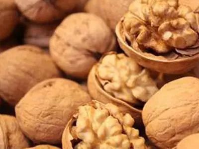 蔬菜的蔬字怎么组词