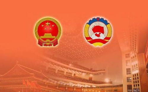 担可以怎么组词