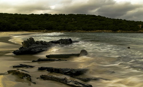 岛上怎么组词 岛上怎么组词