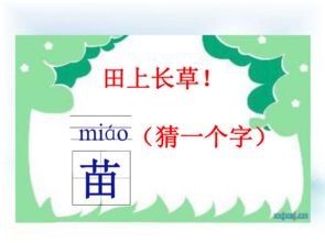 和和苗的和怎么组词