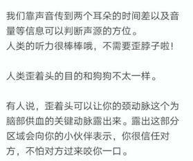 why脑袋的歪怎么组词 why脑袋的歪怎么组词
