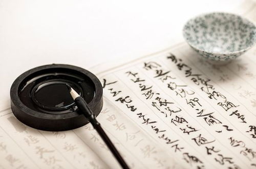 质字可以怎么组词呢