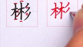 夏字组词