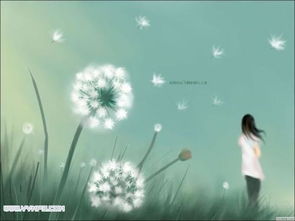 蒲公英怎么组词