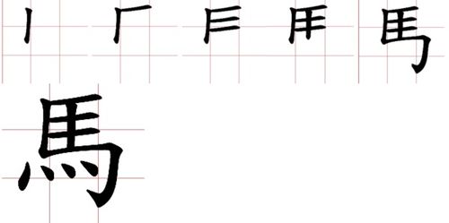 马字怎么组词怎么写