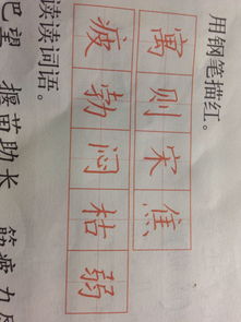 工地的红怎么组词