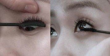 哦眼睛的睛怎么组词