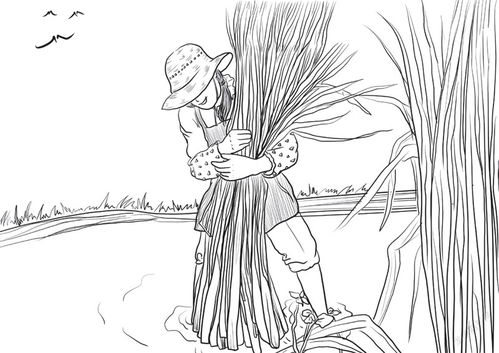 磬陂怎么组词 磬陂怎么组词