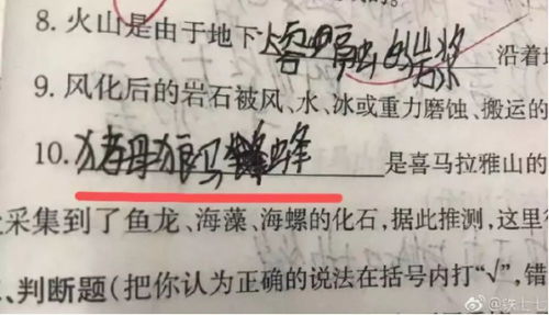 用认真的真怎么组词