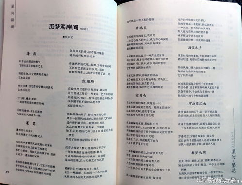 诗怎么怎么组词