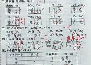 用簸箕组词鸡怎么组词