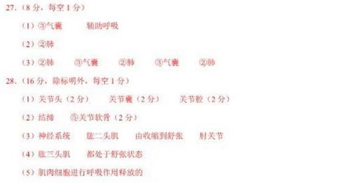 动物动作怎么组词