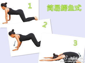 动物动作怎么组词