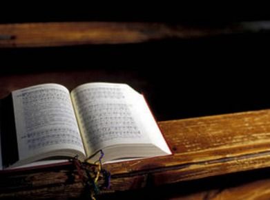 鹃怎么组词两字