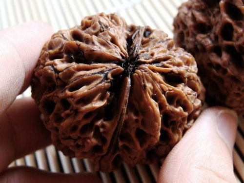 核桃还可以怎么组词 核桃还可以怎么组词