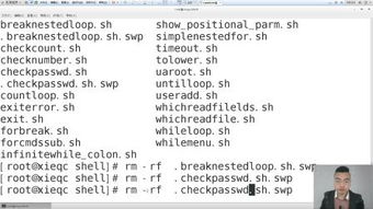 迷路的Lu怎么组词 迷路的Lu怎么组词