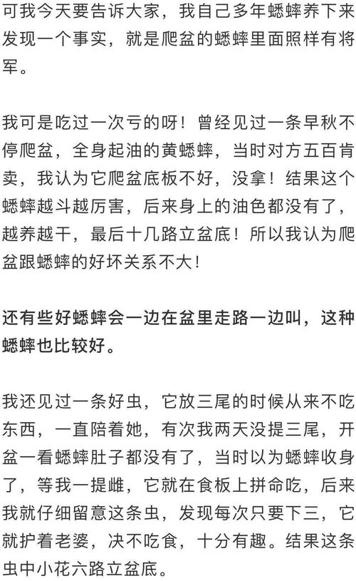 儒怎么组词好听一点