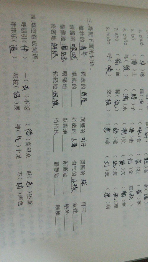 明天的针组词怎么写