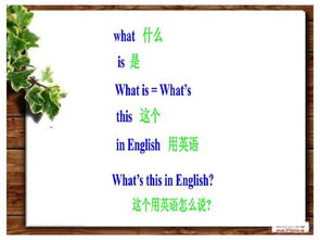 whatis怎么组词 whatis怎么组词