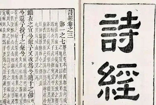 用人丁兴旺怎么组词