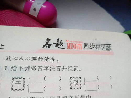 和的多音字并组词