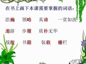 彼此的比比怎么组词