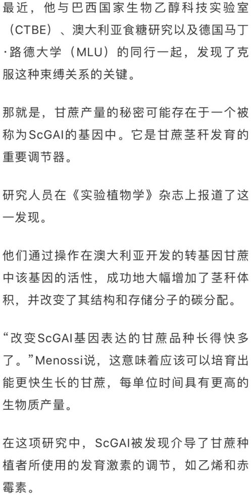 甘蔗地拙怎么组词 甘蔗地拙怎么组词