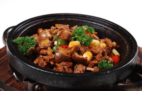 狗肉可以怎么组词 狗肉可以怎么组词