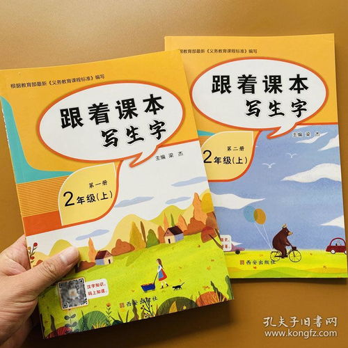 追随组词和拼音怎么写