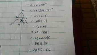 小度大组词怎么写