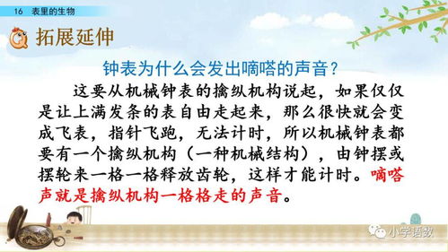 对物的物怎么组词