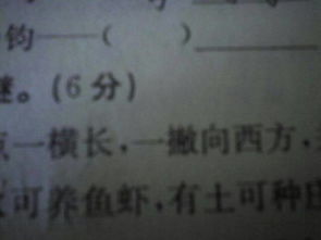 首字能怎么组词啊