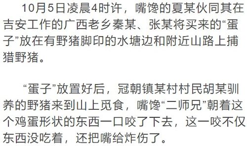 猪的抓怎么组词 猪的抓怎么组词