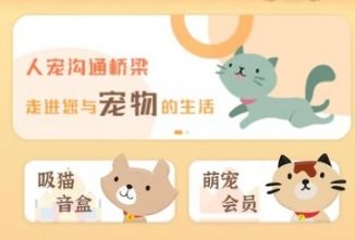 度猫怎么组词 度猫怎么组词