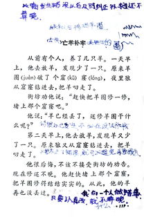 亡羊补牢的忘怎么组词