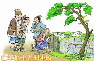 亡羊补牢的忘怎么组词