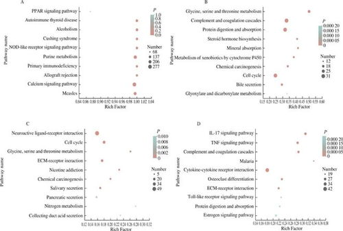 绒毛的绒能怎么组词
