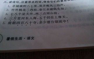 同意的意思组词怎么写